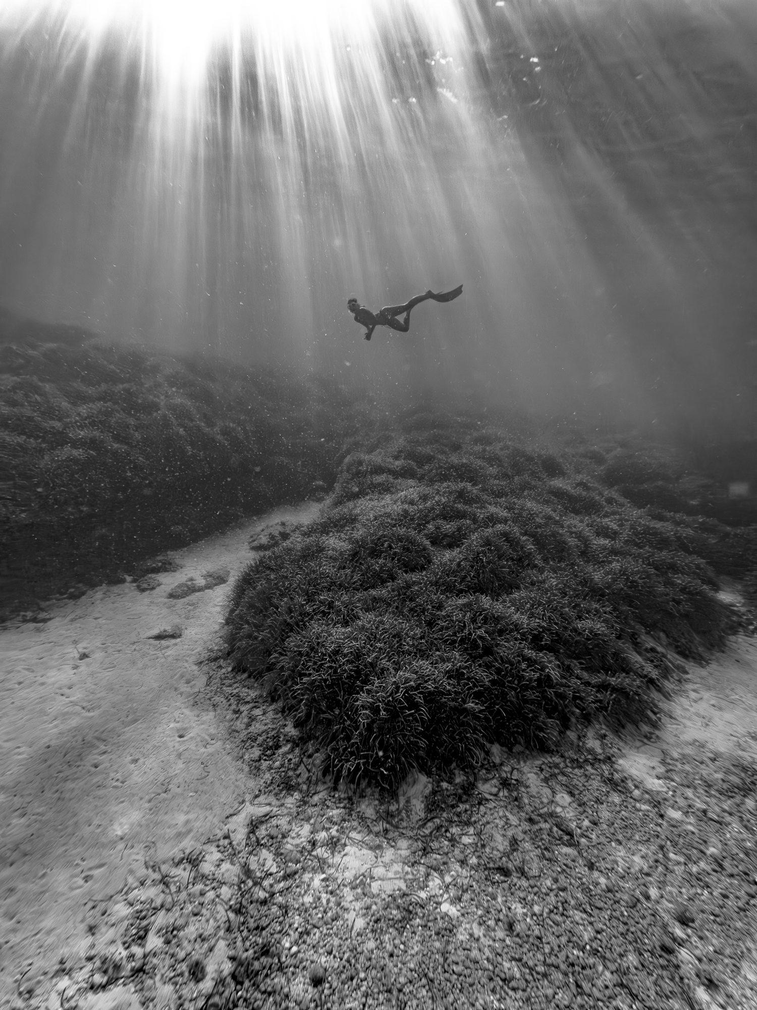 Black-and-white underwater scene with light rays and a distant diver
