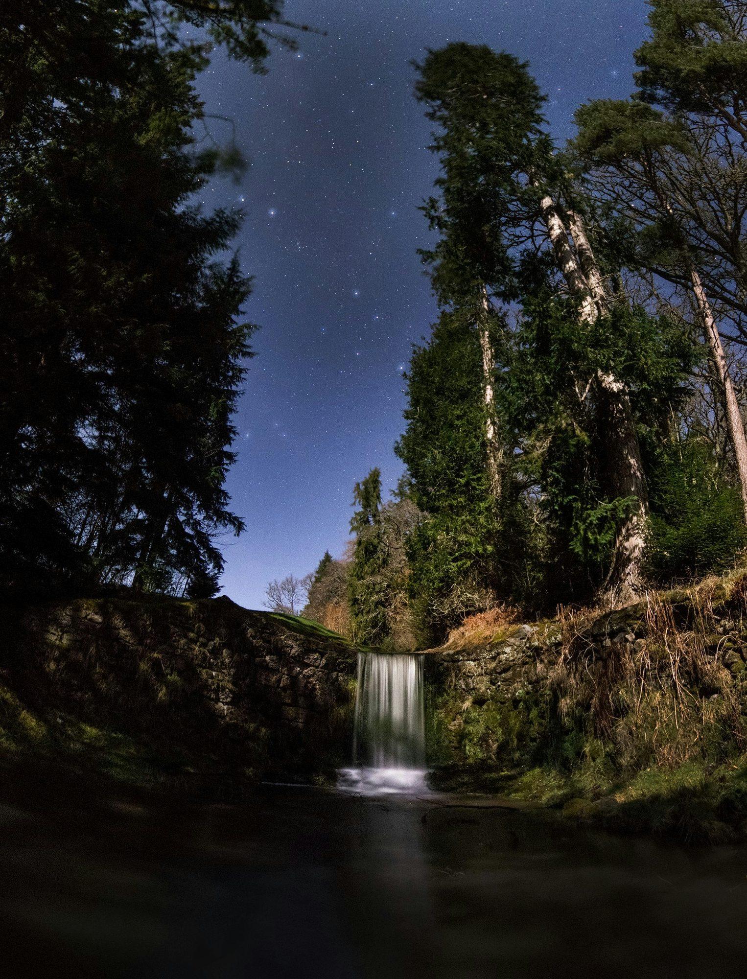 A waterfall running through a mossy forest